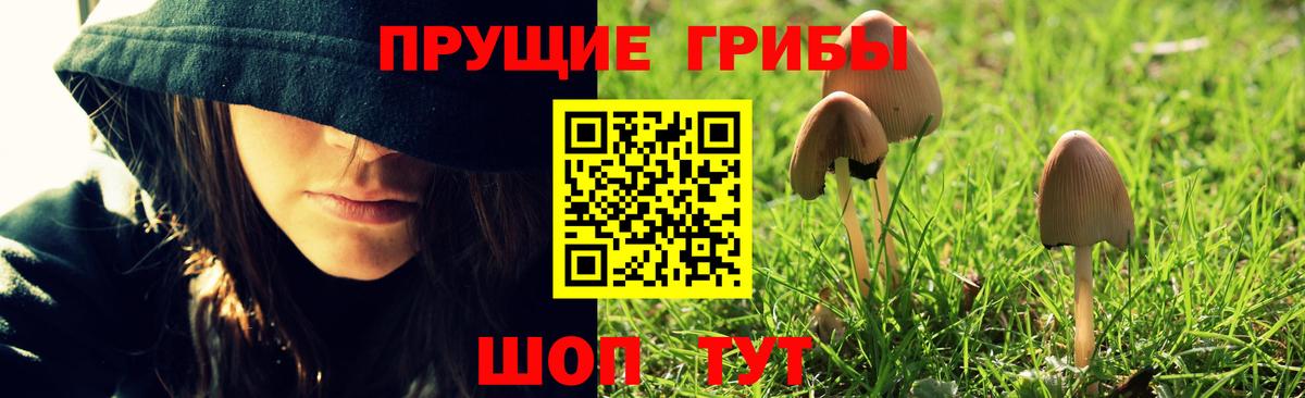 Псилоцибиновые грибы Psilocybine cubensis  Галлюциногенные грибы GOLDEN TEACHER  Великие Луки  Вход с VPN 